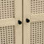 Grande armoire arquée de 70,28 po de hauteur, porte, 4 panneaux intérieurs, charnières en métal, capacité de charge de 33 lb pour le garde-manger de la salle à manger, 2 tablettes réglables, organisation de cuisine à charnières