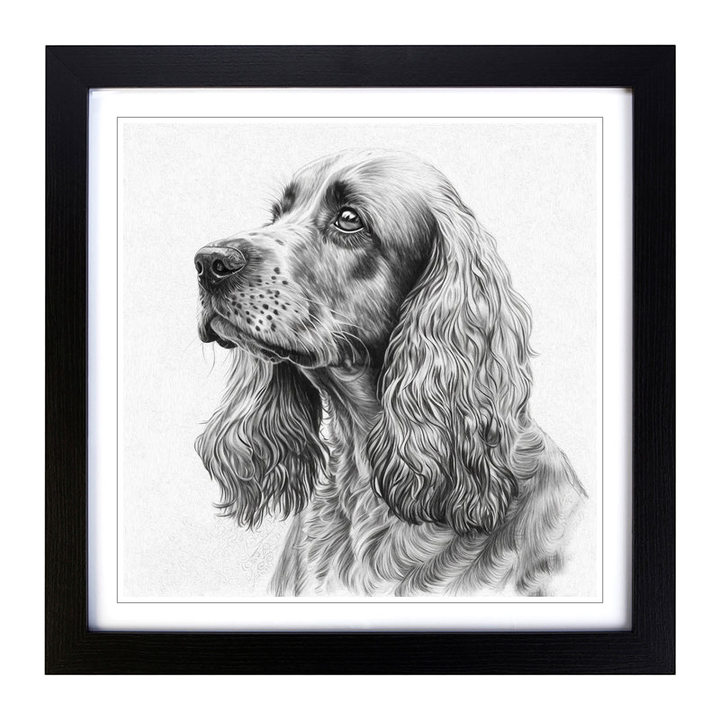 Cocker Spaniel Drawing - Framed Print, Black