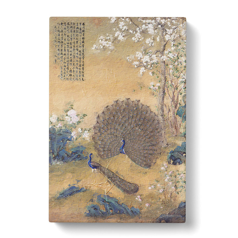 Peacock With A Spread Tail by Lang Shining - Wrapped Canvas, 50cm H x 35cm W x 3cm D