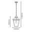 Fajardo Outdoor Hanging Lantern