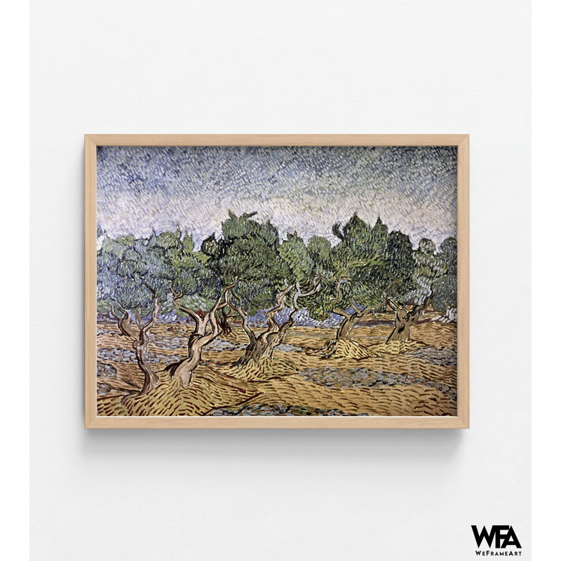 Olive Olive, sol violet par Vincent Van Gogh, impression d'olivier, art mural de sol, impression de paysage naturel, art mural nature, paysage de Van Gogh
