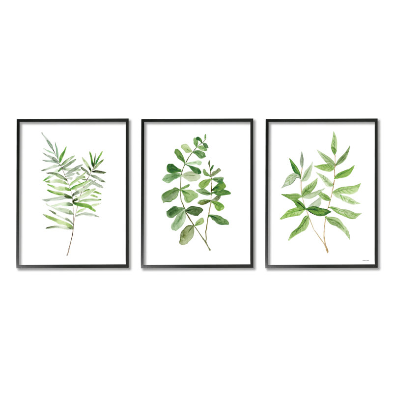 «Kitchen Herb Bunches Botanicals» par Sally Swatland - ensemble de 3 impressions, Giclée encadrée noir minuit