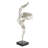 Twist Sculpture-57972631
