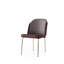 Ensemble de chaises modernes (2 pièces), doré et gris, 24,4 po x 29,5 po x 20,5 po | Structure 100% fer, siège en panneau de particules recouvert de mélamine, dossier en contreplaqué | Conception élégante, capacité de 385 lb, parfaite pour la salle à manger et le bureau-1288394829-1305479353-1305479357