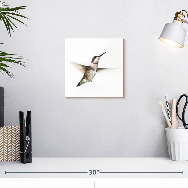 Petit colibri, H 10 po x l 10 po