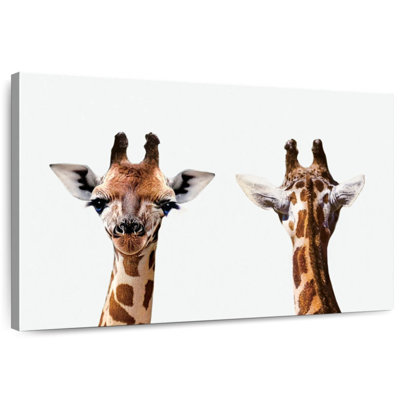Giraffe Front And Back Portrait, 16" H x 24" W