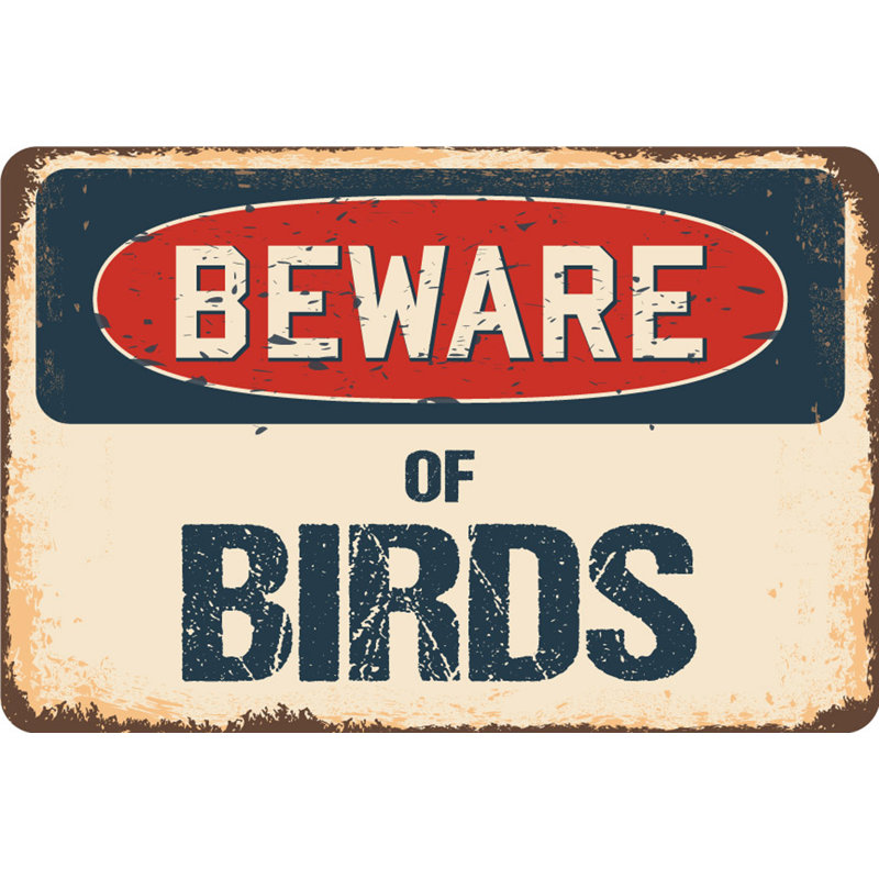 Panneau «Amberjack Beware of Birds», H 6 po x l 9 po x P 0,1 po