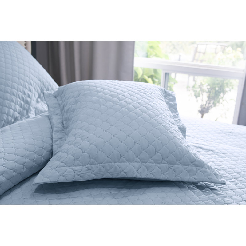 Basics Polyester Quilted Quilt, Full/Queen Quilt + 2 Standard Shams, Light Blue