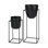 Bumble Black Plant Stands