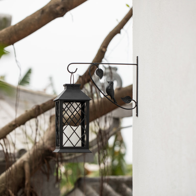 Decorative Black Metal Bird Wall Planter Hook