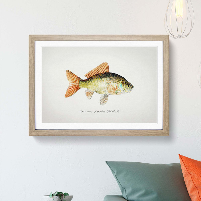 Illustration of a Goldfish by F.E. Clarke - Picture Frame Painting Print, 36cm H x 48cm W x 2cm D, Oak Framed