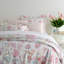 Boyfriend Matelasse Sham-12387164-64425677