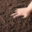Non-Slip Brown Shaggy Rug/Carpet-155257755