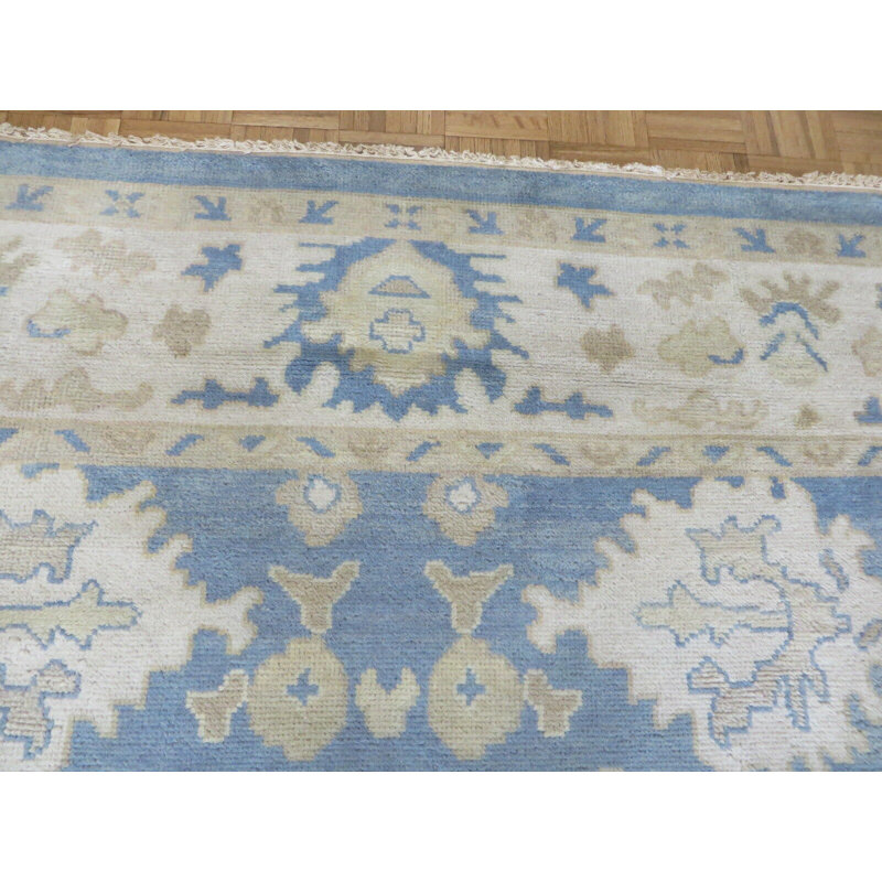 Tapis bleu clair unique 9 pi 1 po x 11 pi 9 po Elsabeth