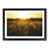 Black Framed
