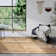  Kollektion 1906 Hand Crafted Hand Loomed Area Rug