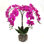 Orchids Floral Arrangement in Vase