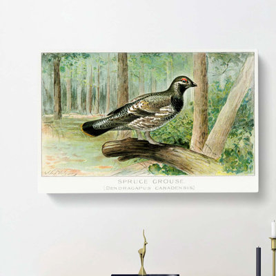 Spruce Grouse by J.L. Ridgway - Wrapped Canvas