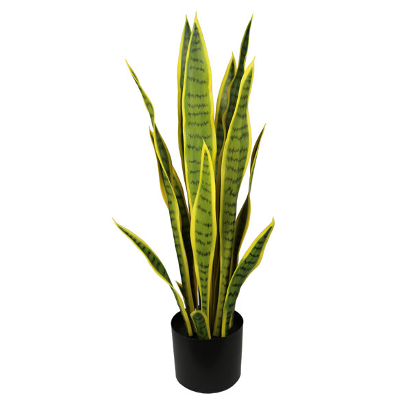The Seasonal Aisle Faux Snake Plant (Sansevieria) Tree | Wayfair.ie