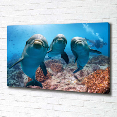 Dolphins - No Frame Print on Canvas