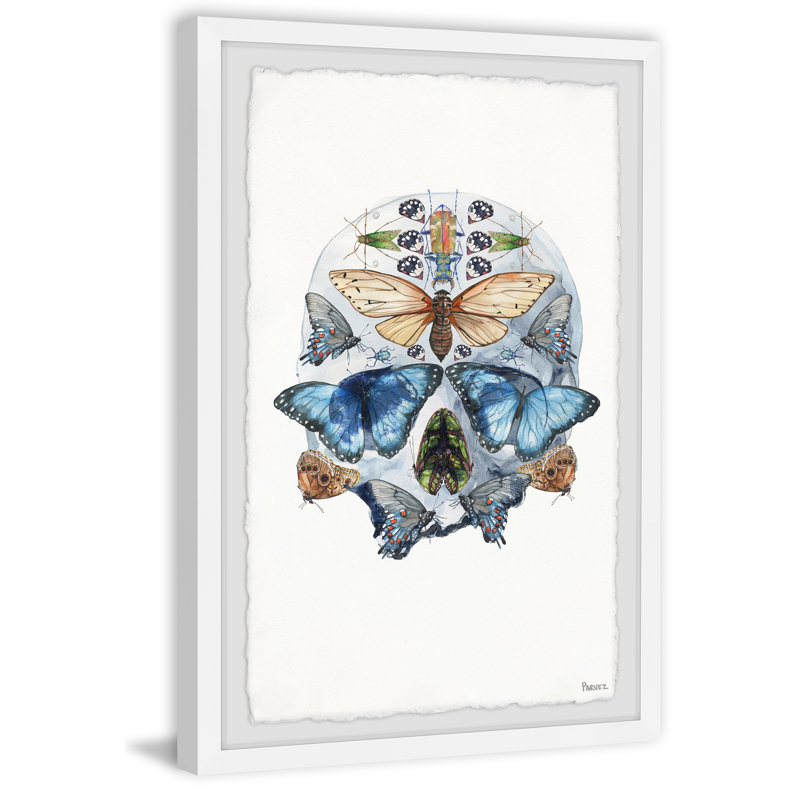 Half Butterfly Skull by Parvez Taj - Single Picture Frame Print, 45 cm H x 38 cm W