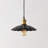 1 - Light Dome Pendant