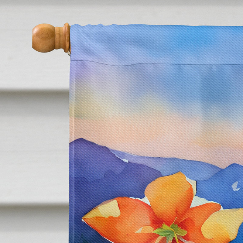 Double Sided 40'' H x 28'' W Polyester House Flag