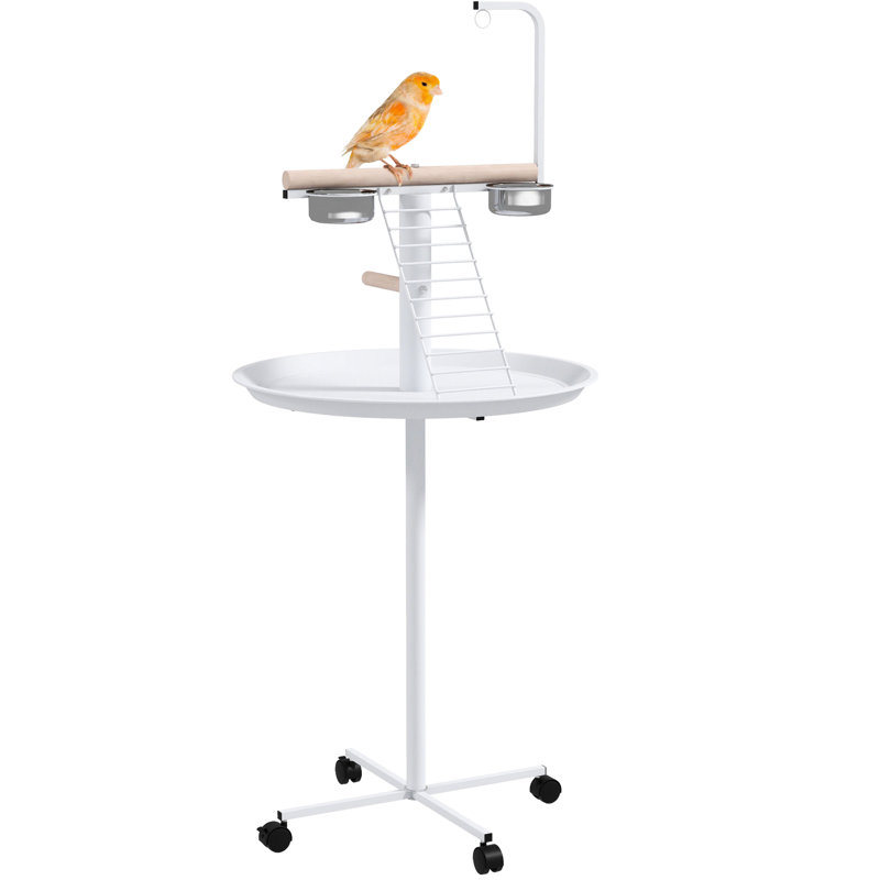 Support pour perroquet, blanc - avec roues portatives, perchoirs, bols en acier inoxydable et plateau rond pour le support à oiseaux