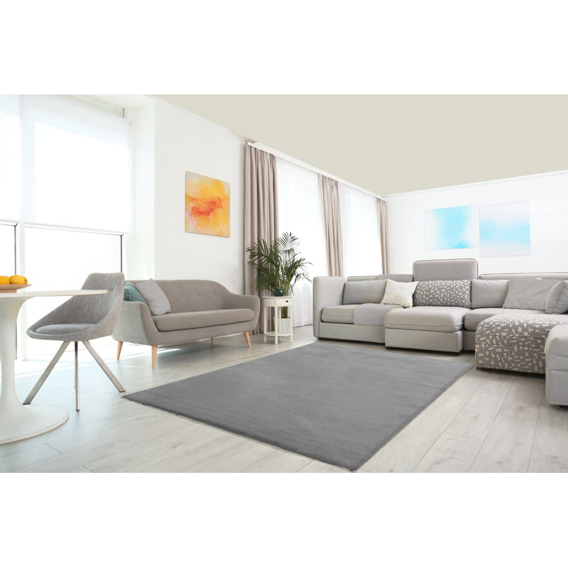 Mashpee Solid Colour Area Rug, Rectangle 200 x 290cm