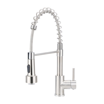 Belfry Kitchen Pull Out Kitchen Faucet