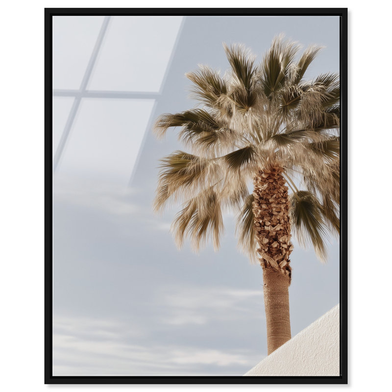 Monotone Tropics II Print by Oliver Gal, 31"H x 25"W, Black Floater Frame