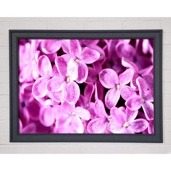 Ebern Designs Single Picture Frame Print | Wayfair.co.uk