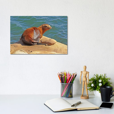 Loafin 1 Piece Wrapped Canvas Wall Art