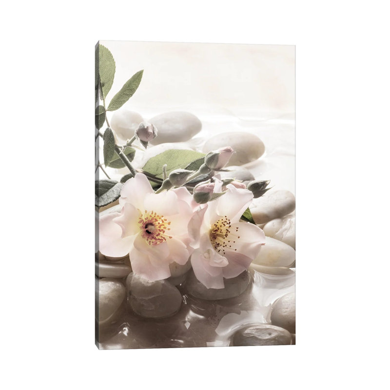 Antique Rose Garden Retreat II by Christine Zalewski - Wrapped Canvas Print, 20.32 cm H x 30.48 cm W