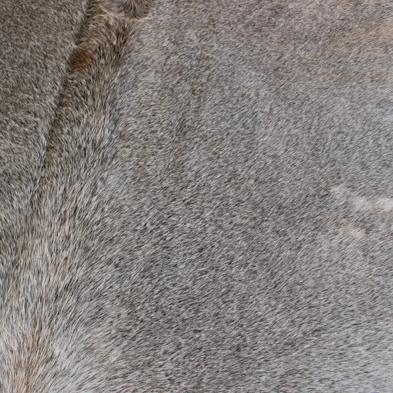 Jaycob Cowhide In Grey Rug