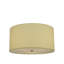 3 - Light Flush Mount