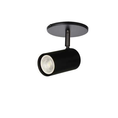 Taylor 1 Light Track Light