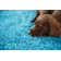 Buddy Teal Rug