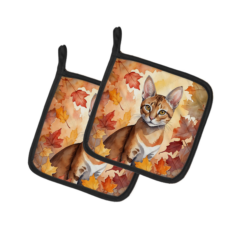 Paire de poignées Chausie