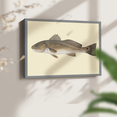 Saltwater Species III -Framed Print - Restickable