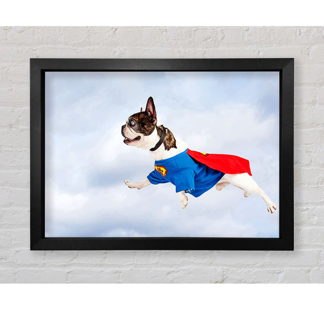 Super Dog Skies - Druck