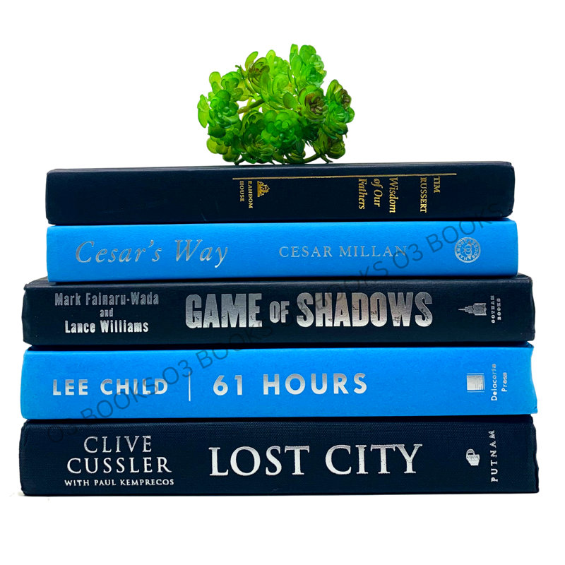 Livres décoratifs Mattews