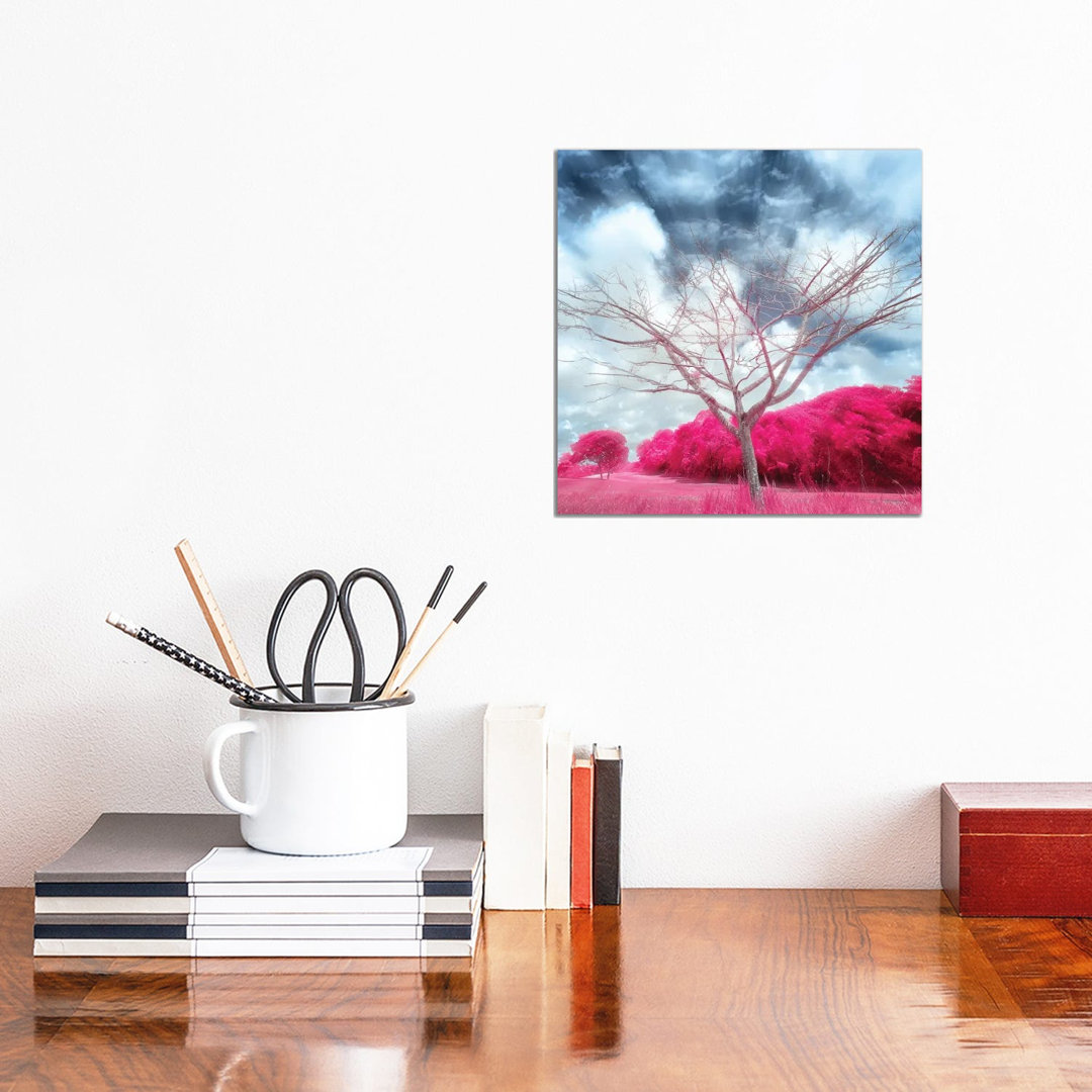 Pygmybirch by Glauco Meneghelli - Wrapped Canvas Painting
