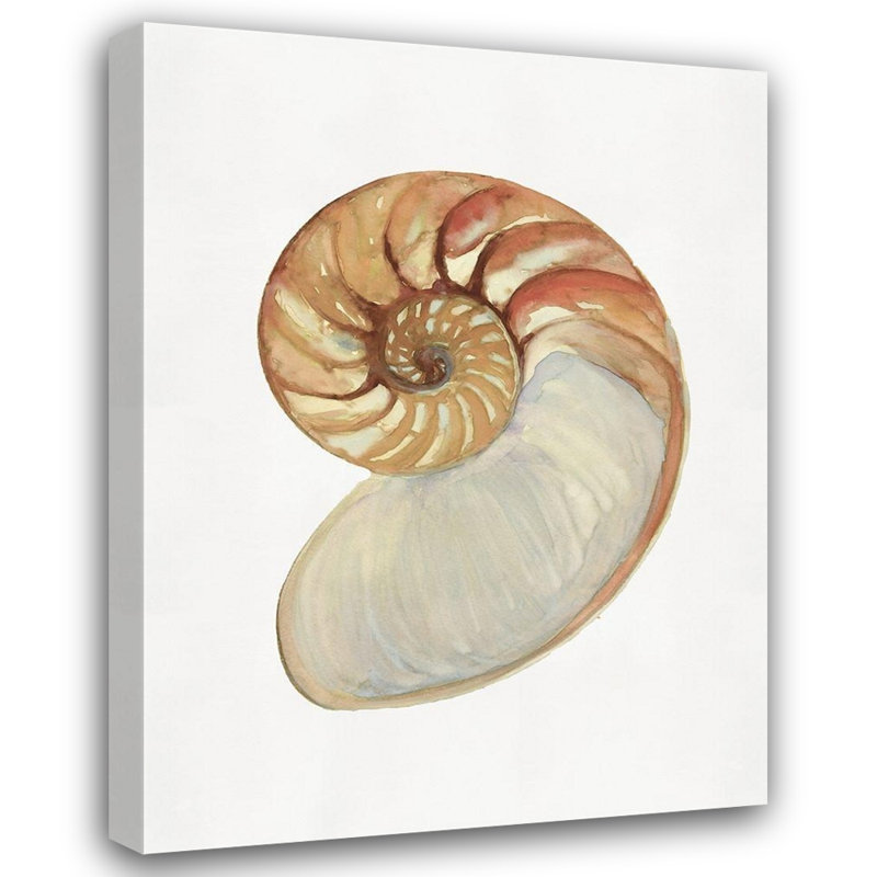 Art sur toile tendue avec ArtStellar Design Studio Gallery: Nautilus Shell II, 24" H x 19" W