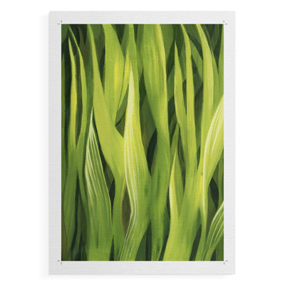 Blades of Grass I -Canvas Print Only - NOT FRAMED