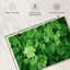 Trèfles verts Harnek-108842840