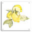 «Lemons I» par Chris Paschke-101632264