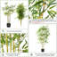 Anneclaar 140cm Faux Tree