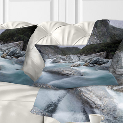 Throw Pillow