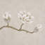 Papier peint arbre Magnolia-103897652
